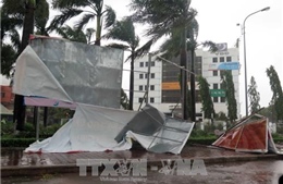 Cận cảnh bão số 12 đổ bộ, tàn phá Bình Định, Đà Nẵng